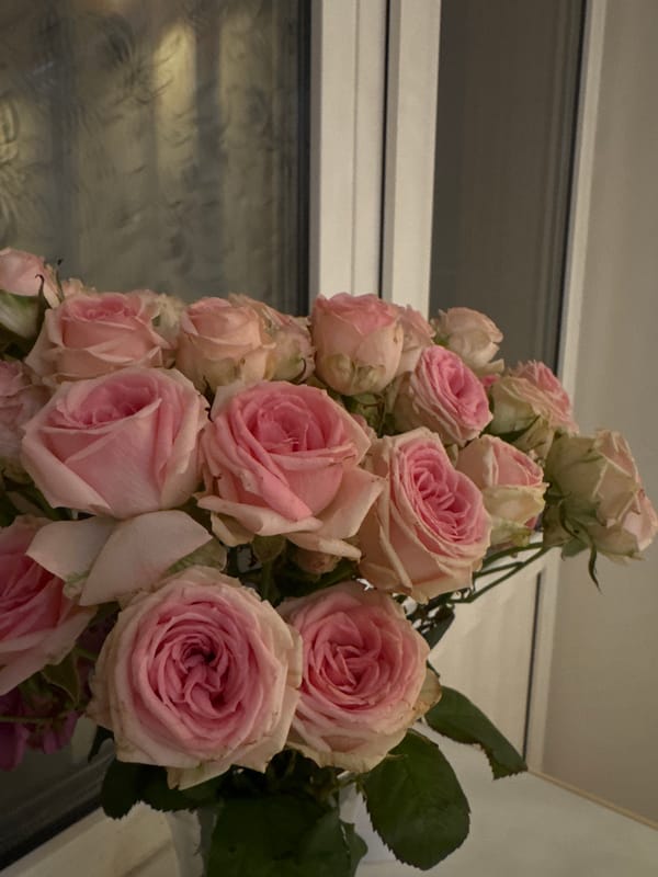 Pink rose bouquet spotted indoors in Dmitrov, Russia