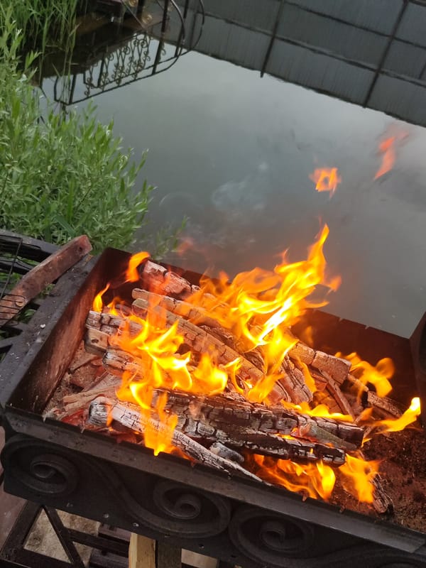 Outdoor chicken grilling session documented in Chaikovsky, Russia