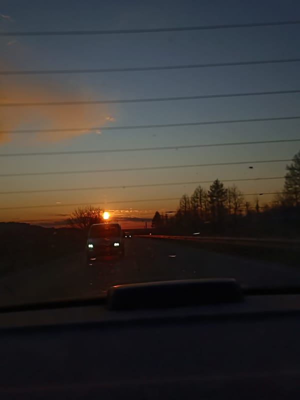 Traveler and dog witness sunset from vehicle window