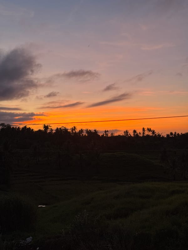 Vibrant sunset observed over palm-lined horizon in General Luna