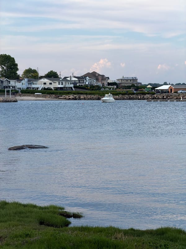 Evening coastal and field scenes documented across New Rochelle