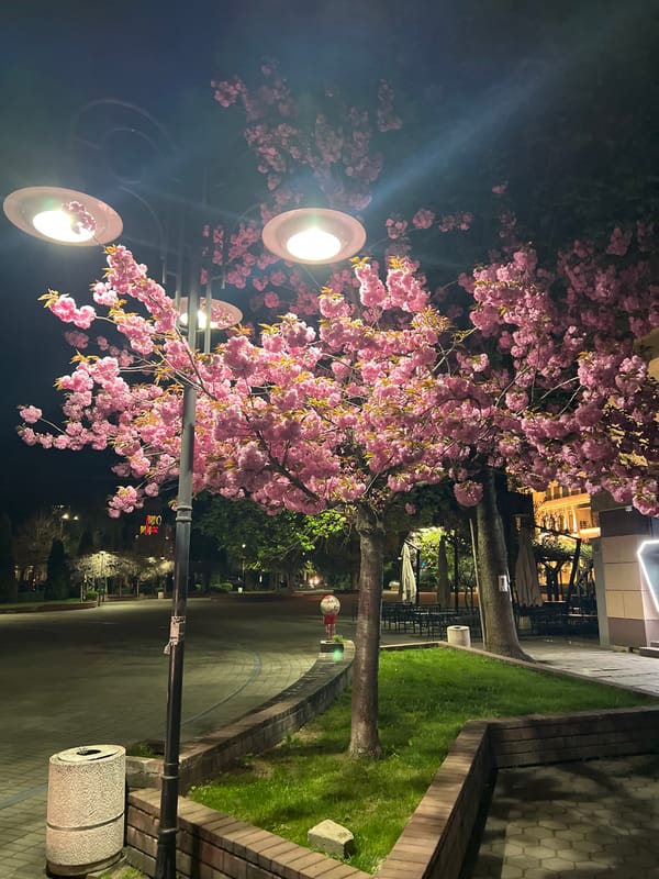 Spring evening moments captured in Sevlievo, Bulgaria