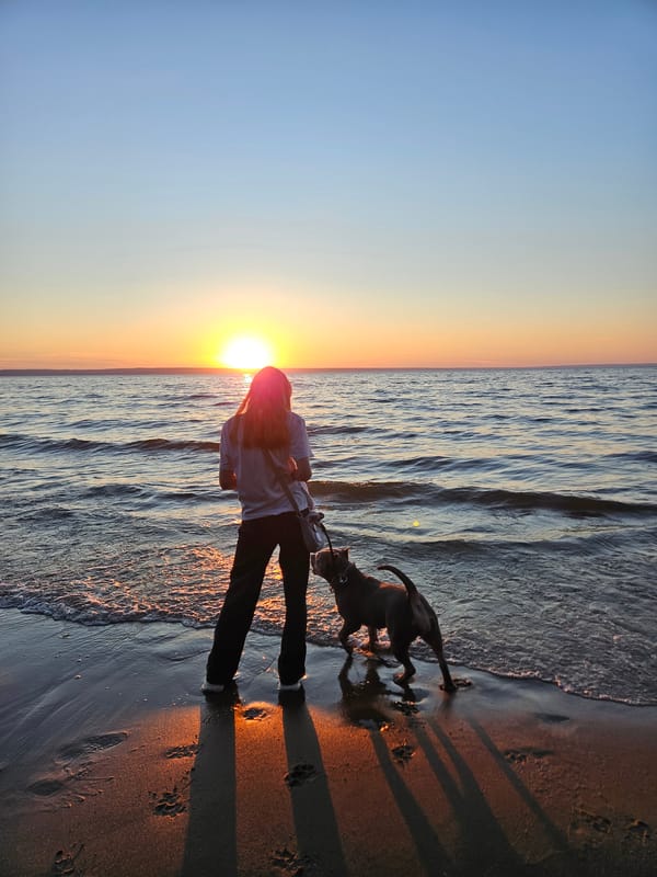 Dog owner enjoys sunset beach walk with two pets in Ulyanovsk