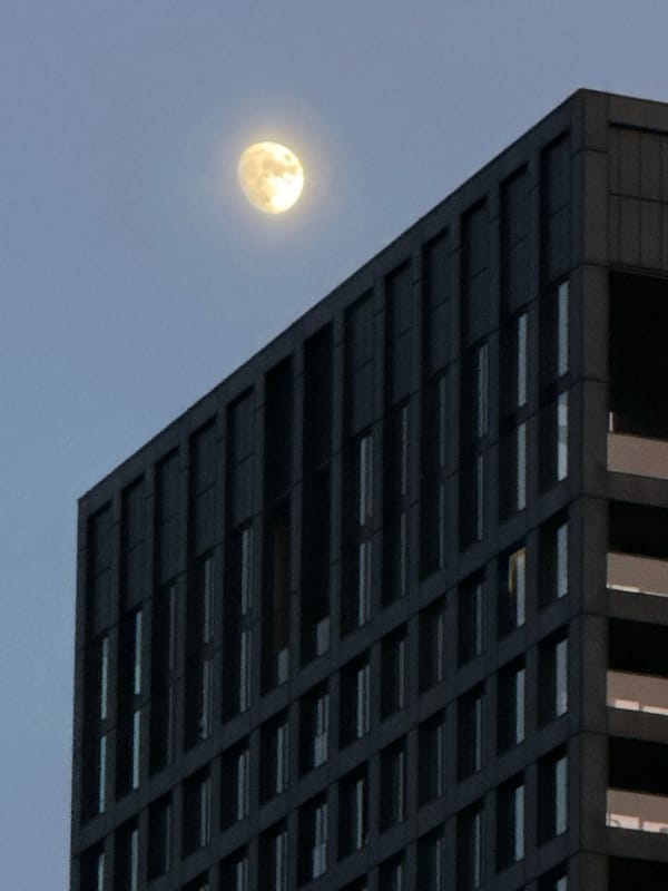 Full moon observed between modern buildings in Amsterdam