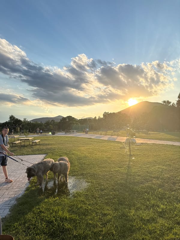 Sliven retail park and city park at golden hour