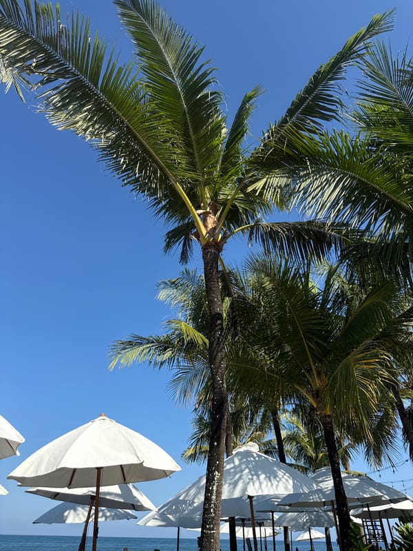 Tourist documents leisurely morning at Indonesian beach resort