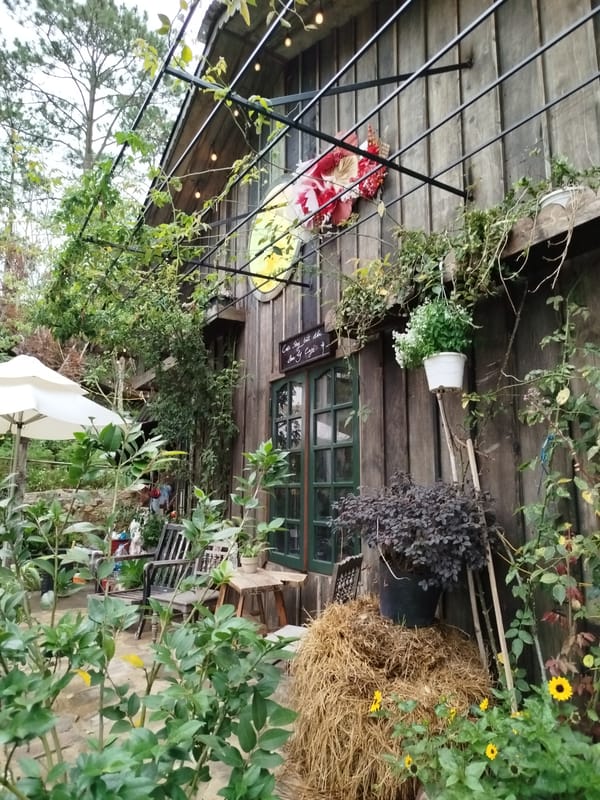 Morning cafe visits documented across Da Lat mountain resort area