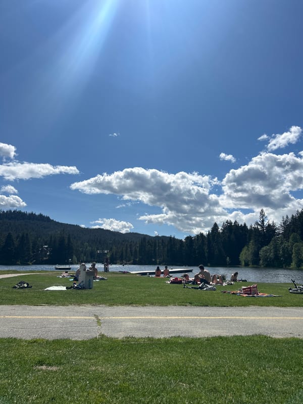 Clear evening observed at Whistler lakeside with forest backdrop