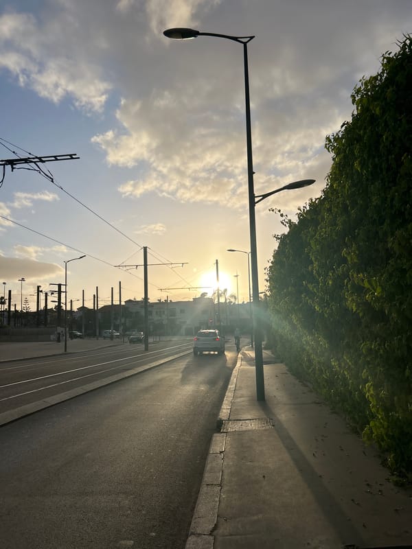 Evening traffic documented along Casablanca tramway line