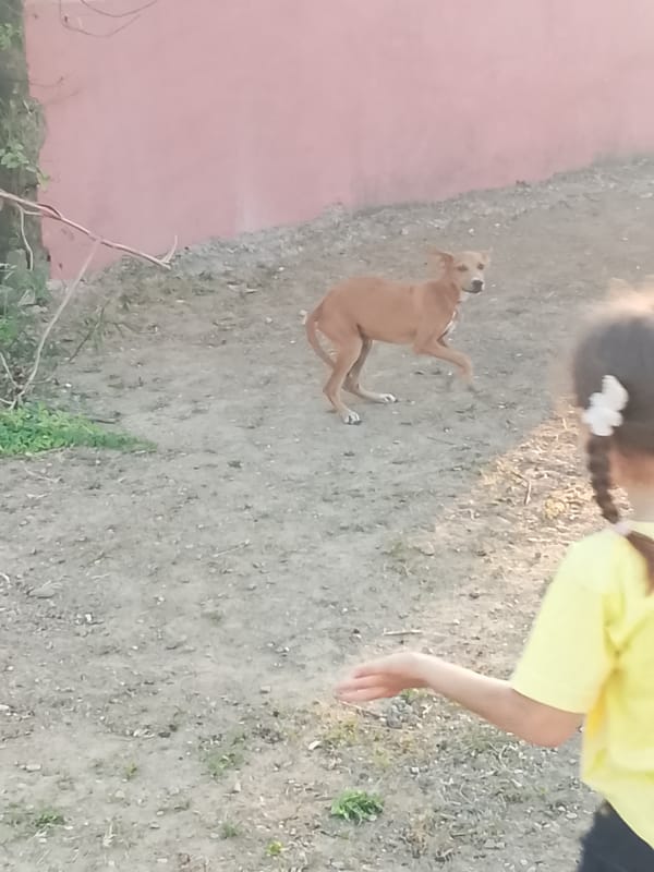 Evening snapshots capture daily life in Altagracia, Venezuela