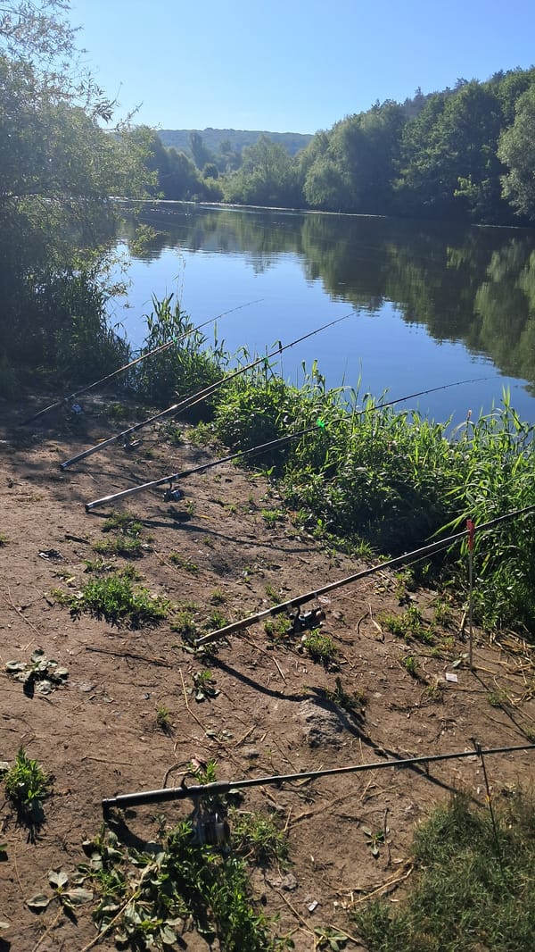 Lazy morning fishing session on the Southern Bug River
