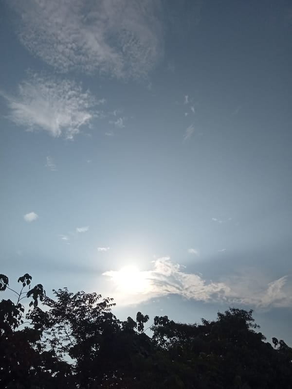 Morning light through palms and clouds in Teluk Kenidai