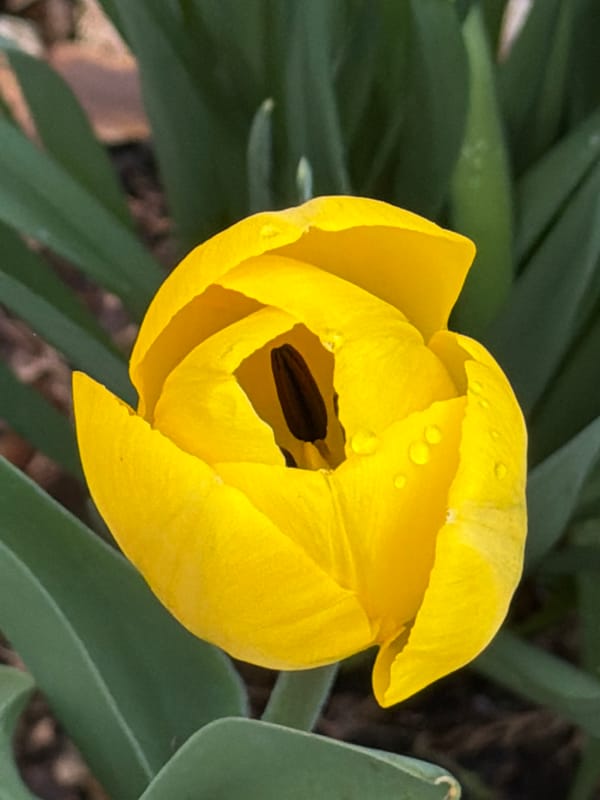 Everyday moments captured across Esch-sur-Alzette in 10-minute span