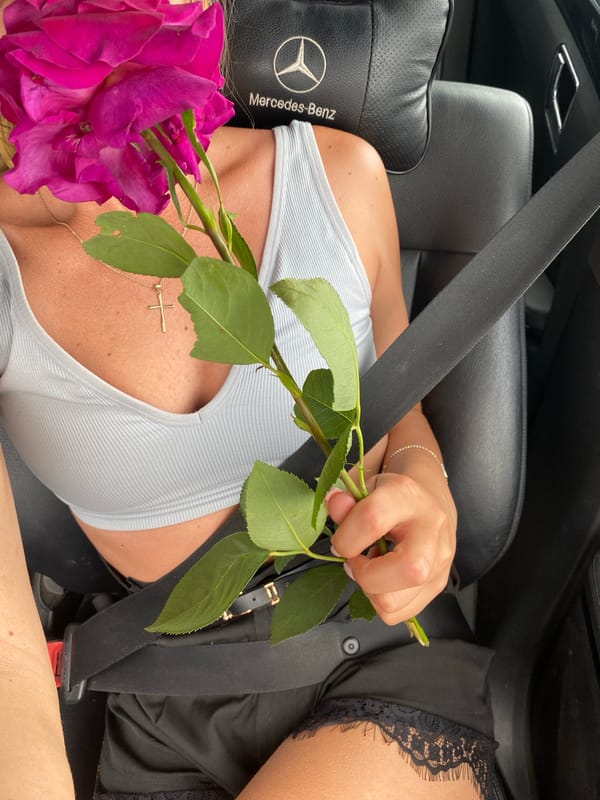 Person holds flower in car during Sofia traffic
