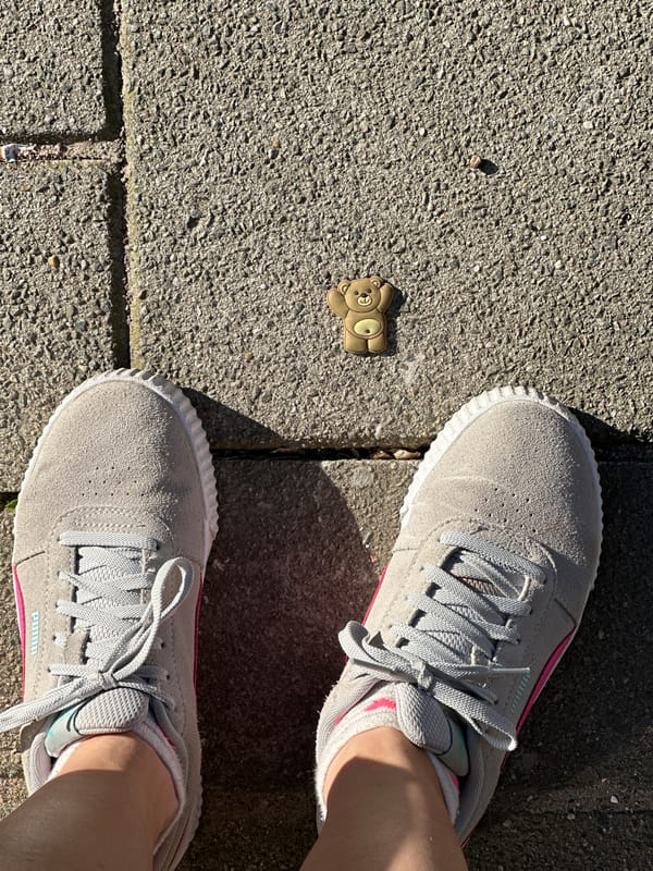 Person documents hour-long Amsterdam walking tour with teddy bear sightings