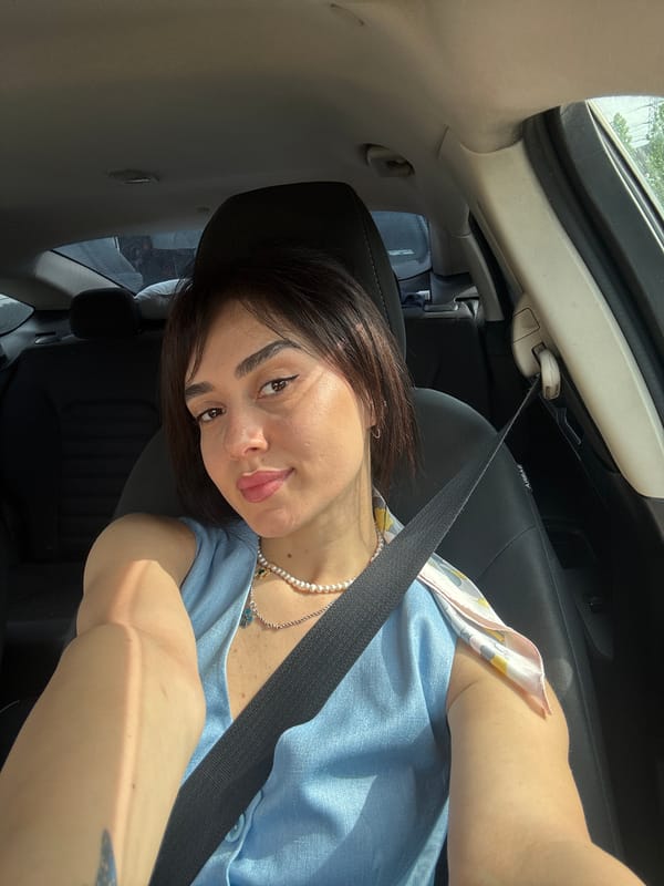 Woman photographed in driver's seat during traffic stop in Tbilisi