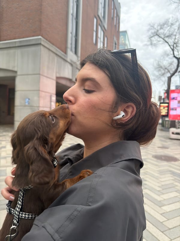 Woman with puppy spotted near emergency response in Montreal