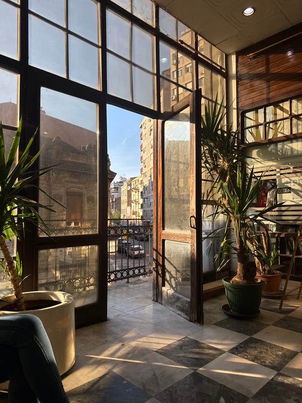 Everyday moments captured across Belgrade during sunny afternoon