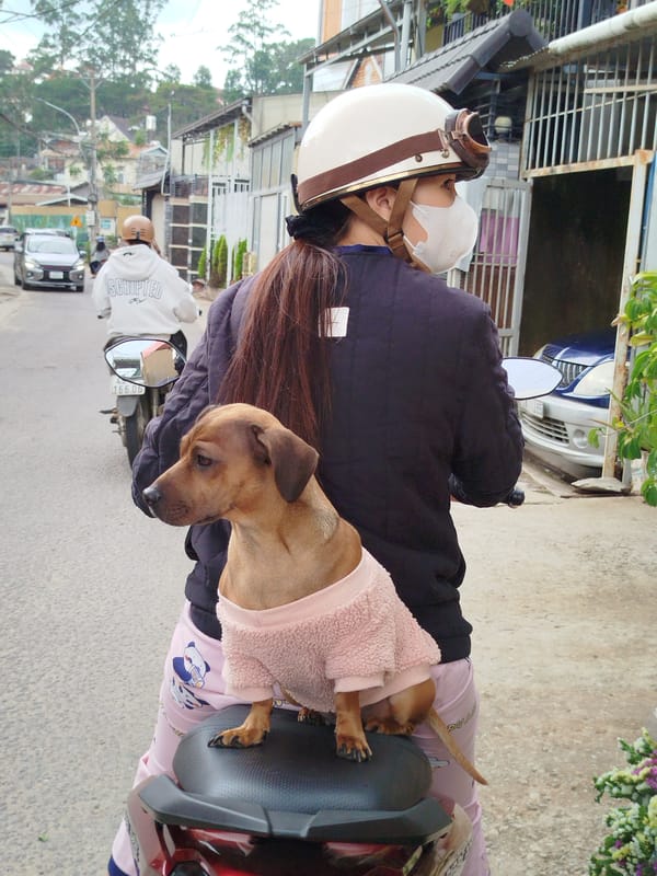 Morning street life documented in Da Lat, Vietnam