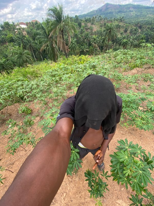 Man works cassava field, makes gestures in Achara Nigeria