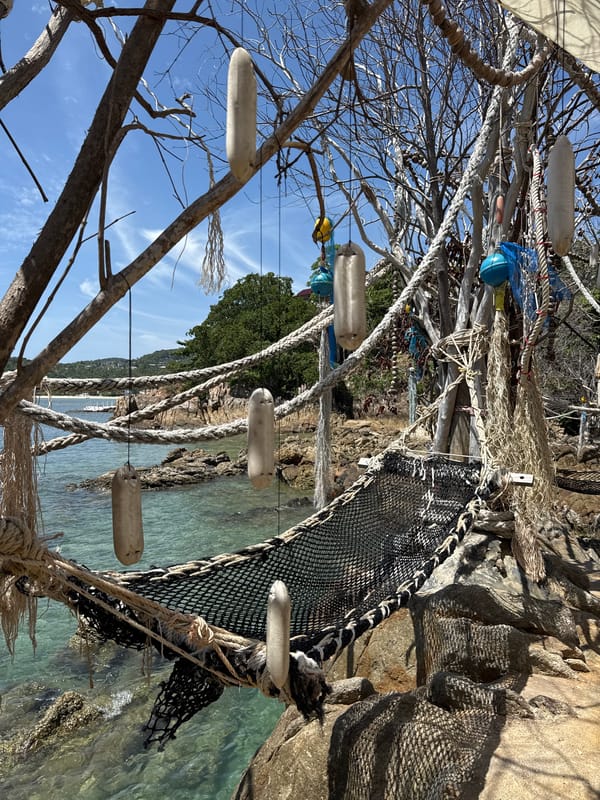 Hammocks, driftwood art, and turquoise water in Ko Pha-ngan