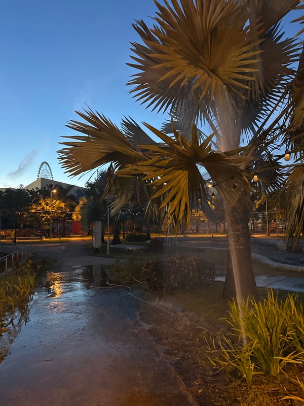 Rainy dusk in Đà Nẵng: park scenes and football watching outdoors