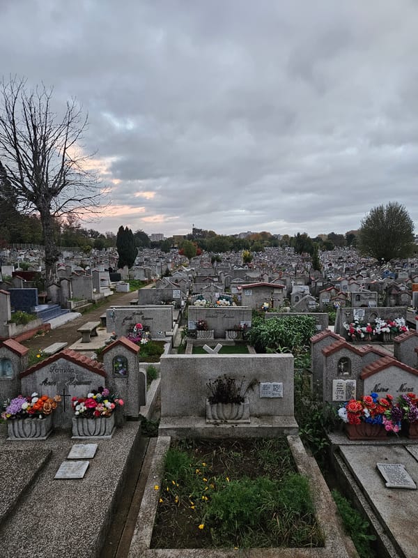 Cemetery documented in Temuco, Chile under overcast skies