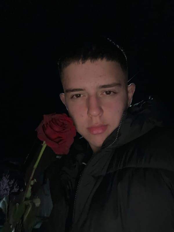 Person with red rose observed on wet street in Zlatograd