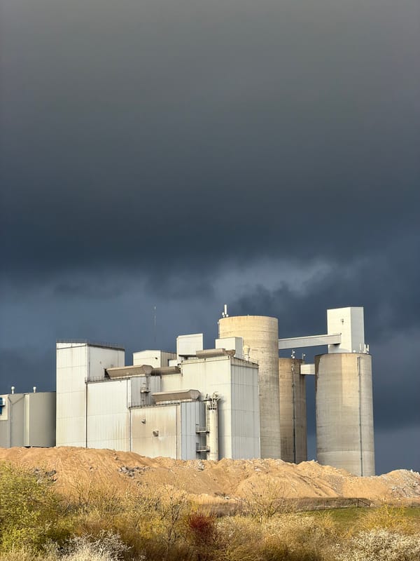 Dog naps on couch in Luxembourg home