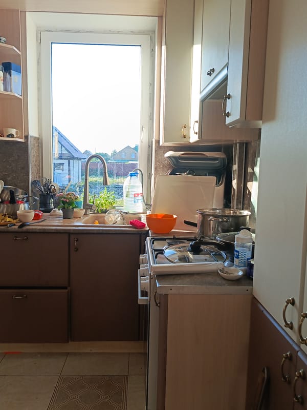 Domestic life glimpses: kitchen chores, gardening, pool maintenance captured