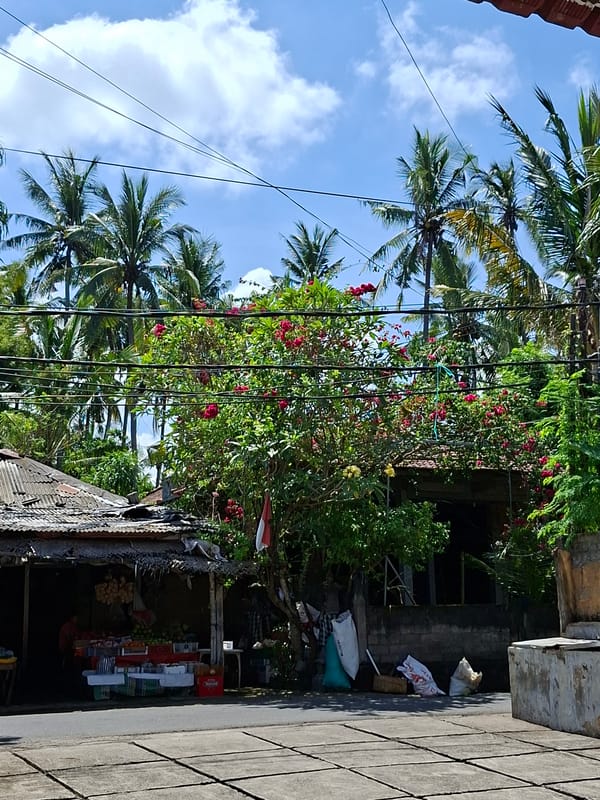 Early morning documentation tour through Karangasem, Bali