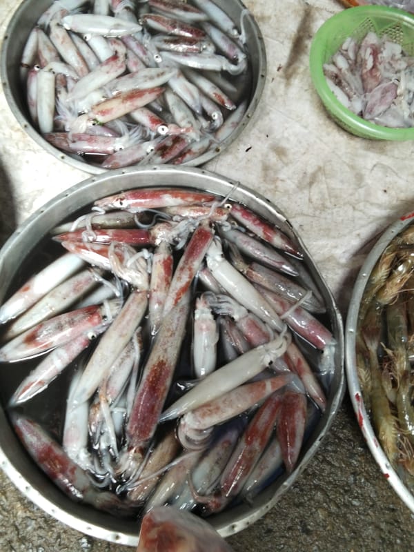 Mũi Né market in full swing: seafood, produce, and street life.
