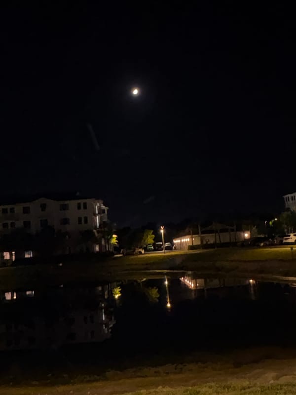 Nighttime city scenes captured with moon, buildings, streetlights visible