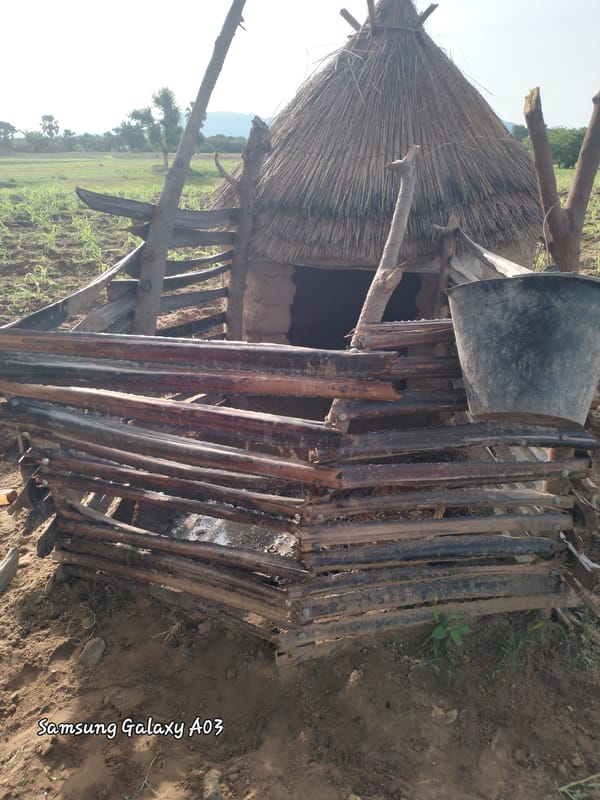 Rural morning scenes documented in Nigerian farming village