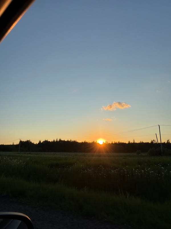 Sunset observed over treeline in Mikhalevo, Russia