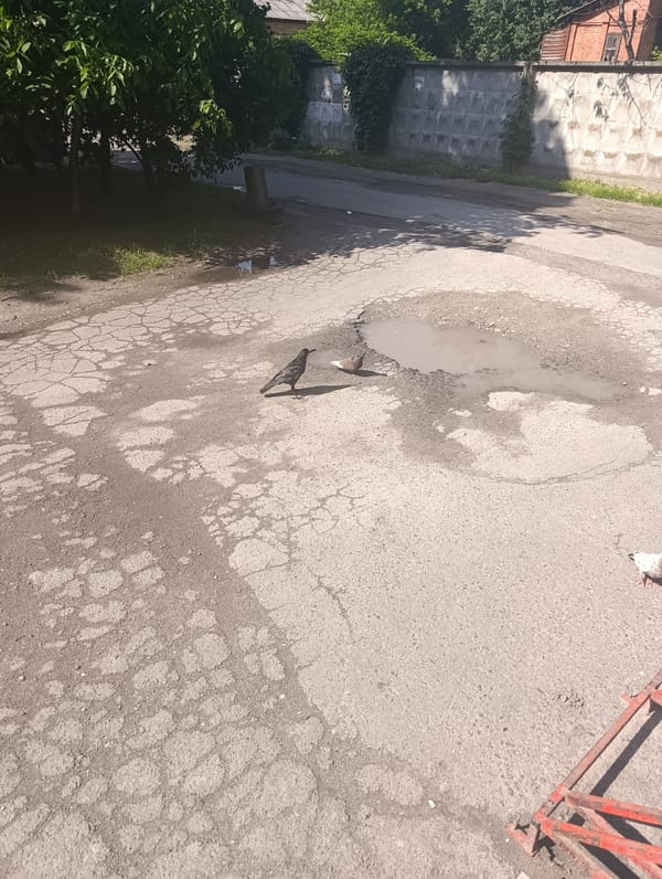 Daily life documented across Chernihiv, Ukraine neighborhoods