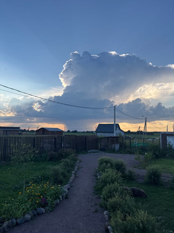 Summer evening in a Russian village garden with raspberries and animals