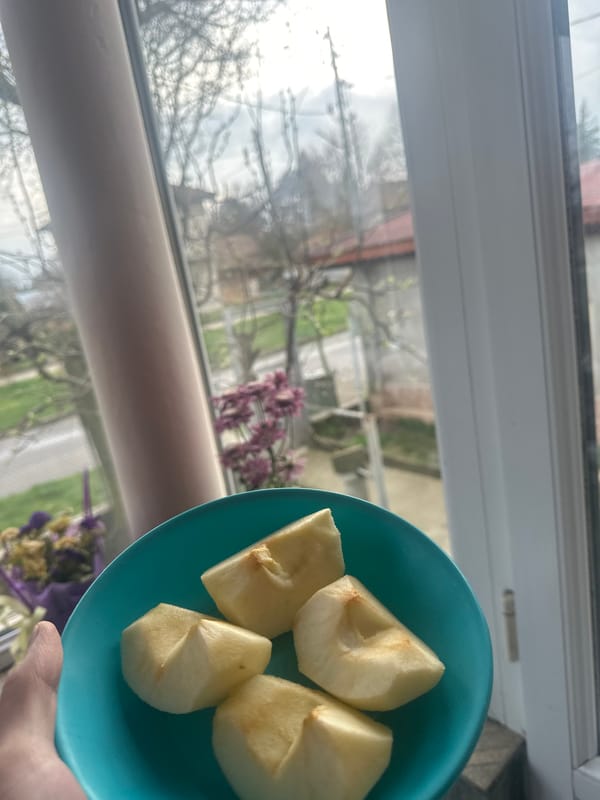 Person enjoys apple slices by window in Bulgarian spring