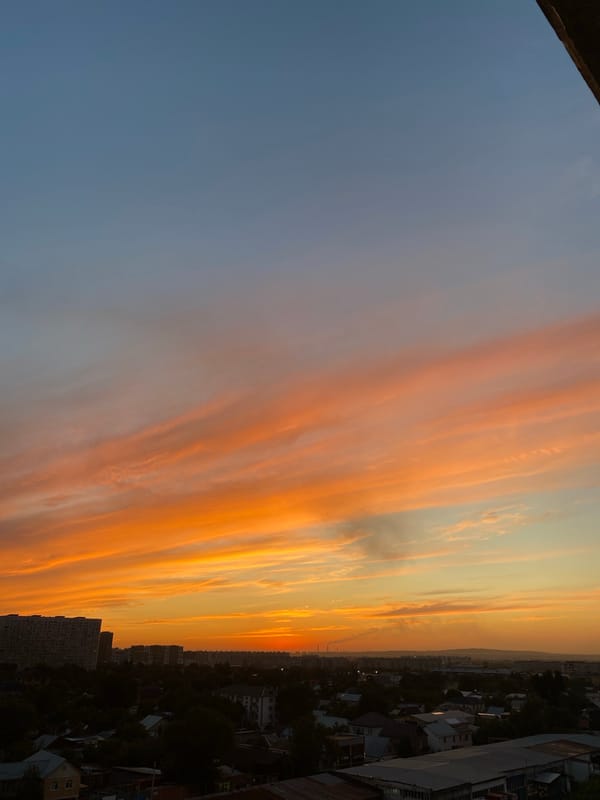 Almaty evening: sunset skies, roaming cats, and backyard life