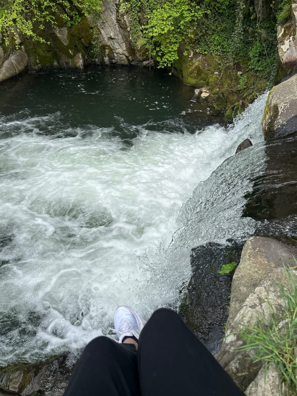Witness documents waterfall scene with forest and buildings