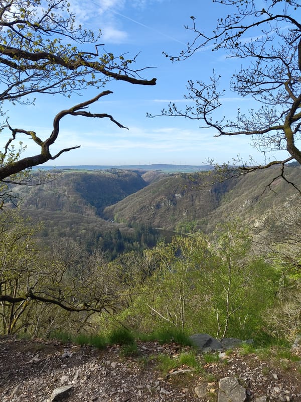 Morning forest walk documented in Mettlach, Germany