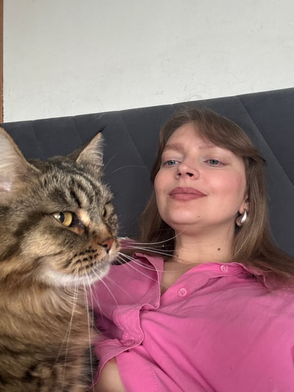 Lazy afternoon on the couch with a golden-eyed tabby cat