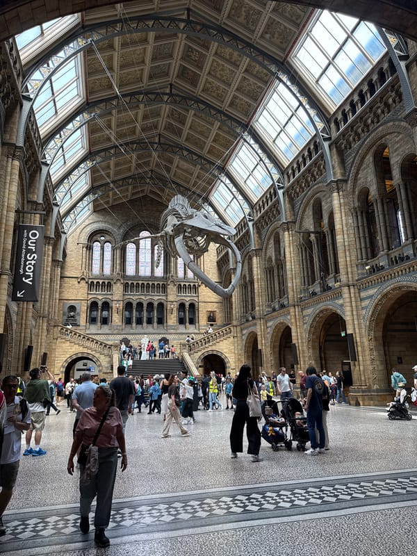 Visitor documents Natural History Museum London during busy morning