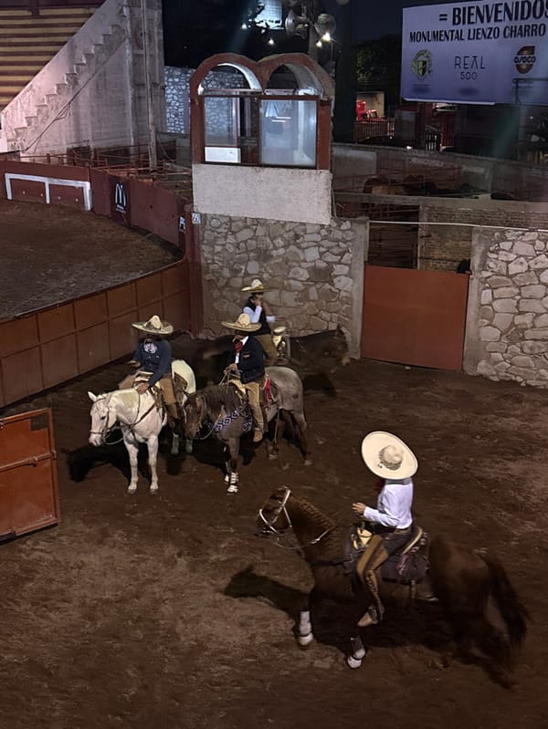 Traditional Mexican rodeo draws crowds in nighttime Puebla arena