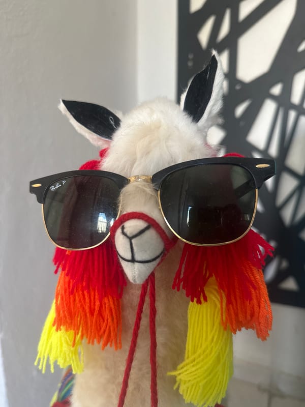 Decorative stuffed llama with sunglasses photographed in Mérida