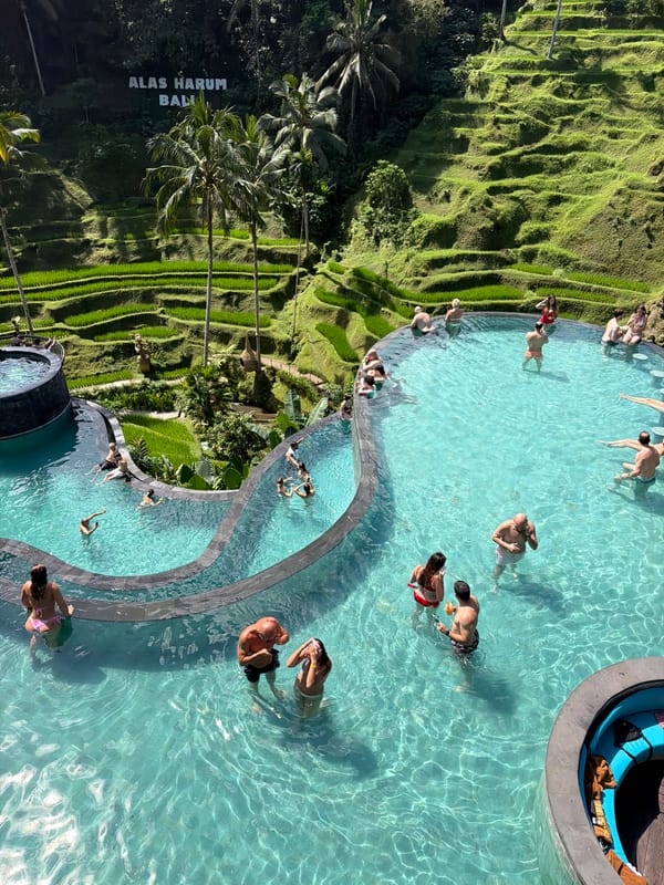 Infinity pool and rice terrace views at Tegallalang's Alas Harum