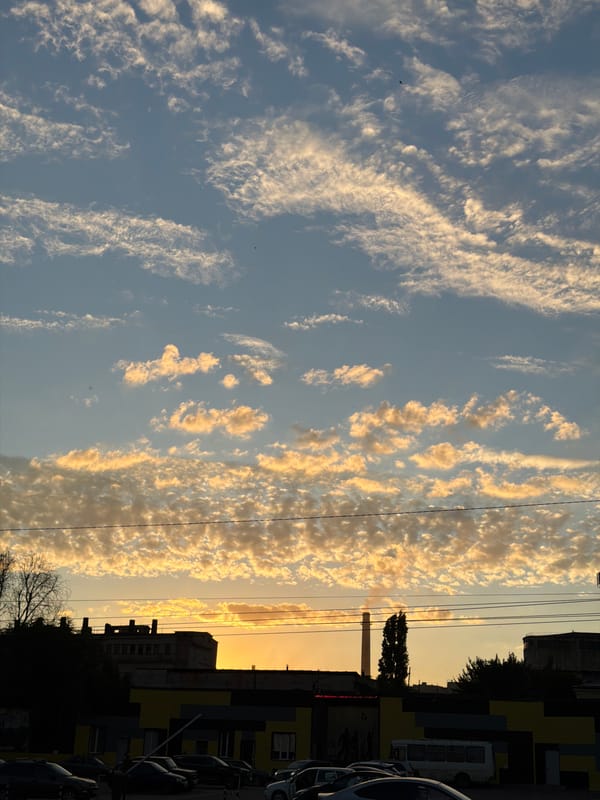 Dog walk and coffee run through Semiluki at sunset