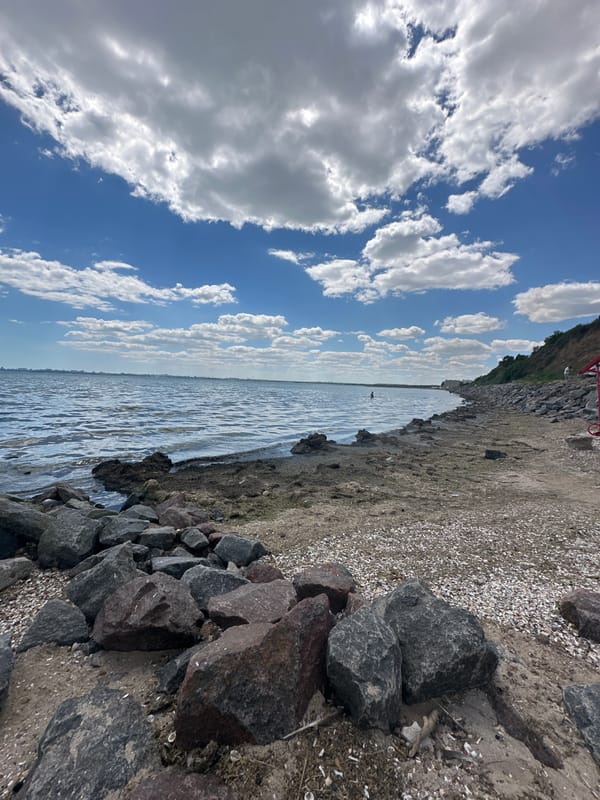 A summer morning on Odesa's Black Sea shore