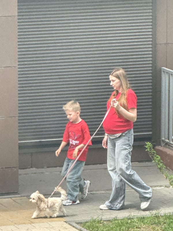 Dog walking and affectionate pet moments observed in urban area
