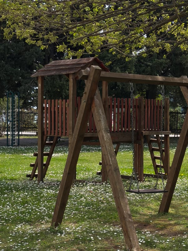Cat spotted lounging in wildflower patch in Budva